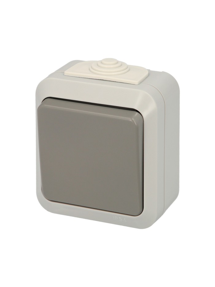 Interruptor / Conmutador Oryx Simple con tapa gris