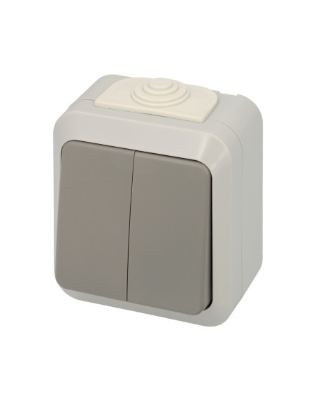 Interruptor / Conmutado Oryx  Doble con tapa gris