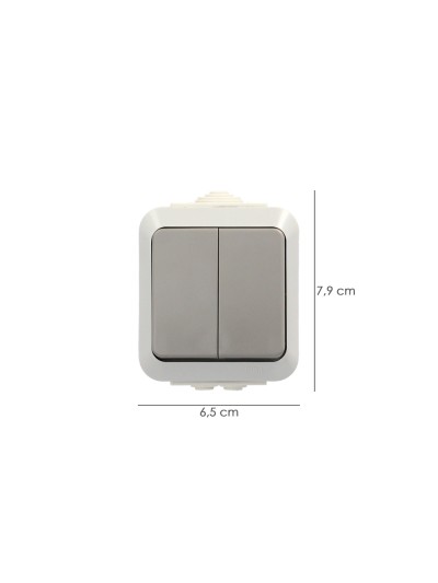 Interruptor / Conmutado Oryx  Doble con tapa gris