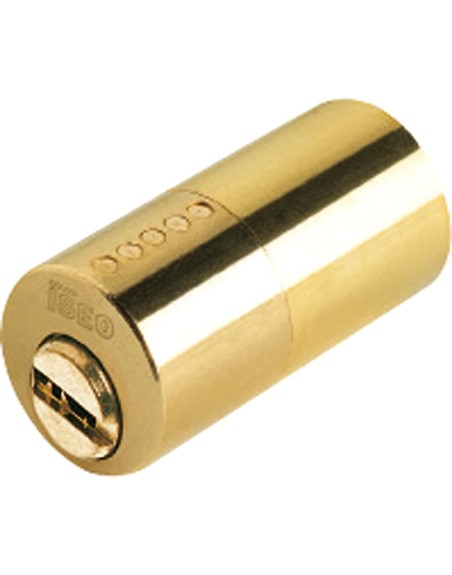 Cilindro Iseo R6 Seguridad Para Cerradura 510