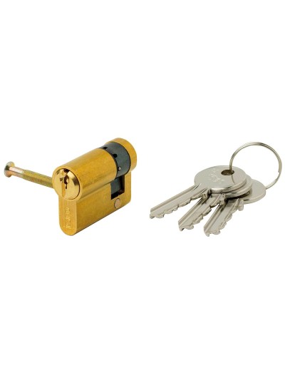 Cilindro Iseo F5  Europeo 30x10 Latonado Leva Larga