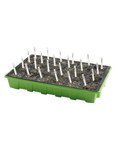 Etiqueta Marcadora Plástico Para Plantas Bolsa 250 Unidades