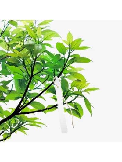 Etiqueta Marcadora Plástico Para Plantas Bolsa 250 Unidades