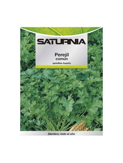 Semillas Perejil Comun (8 gramos) Semillas Verduras, Horticultura, Horticola, Semillas Huerto.