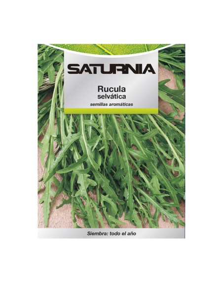 Semillas Aromaticas Rucula Selvatica (2.5 gramos) Horticultura, Horticola, Semillas Huerto.