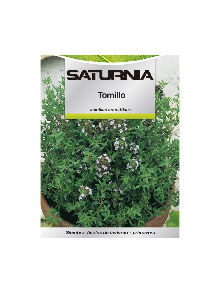 Semillas Aromaticas Tomillo (1 gramo) Horticultura, Horticola, Semillas Huerto.