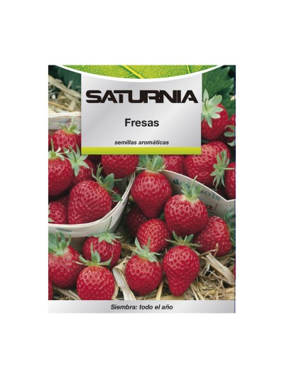 Semillas Huerto Fresas