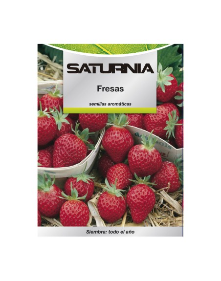 Semillas Huerto Fresas