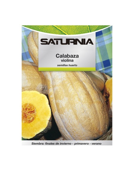 Semillas Huerto Calabaza Violina