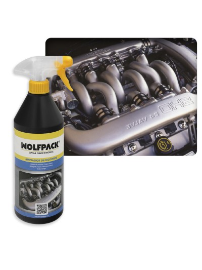 Limpiador Motores Coches y Motos 750 Ml.