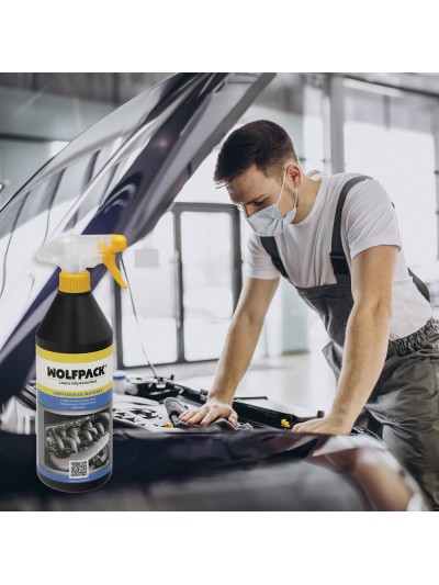 Limpiador Motores Coches y Motos 750 Ml.