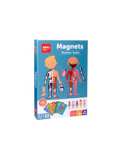 Juego apli didactico magnetico el cuerpo humano
