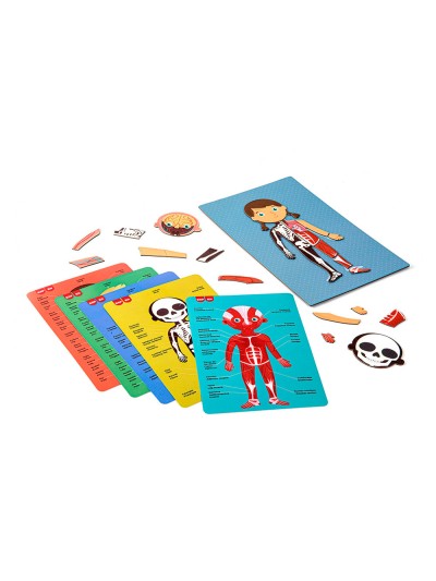 Juego apli didactico magnetico el cuerpo humano