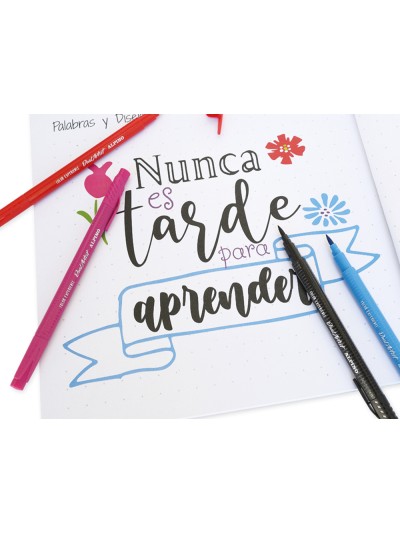 Set de dibujo alpino iniciacion al lettering 12 rotuladores punta fina y punta pincel colores surtidos