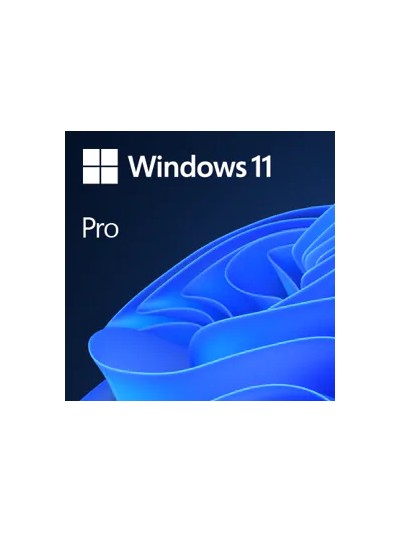 Windows 11 pro 1 licencia 64 bit todos los idiomas esd (descarga directa)