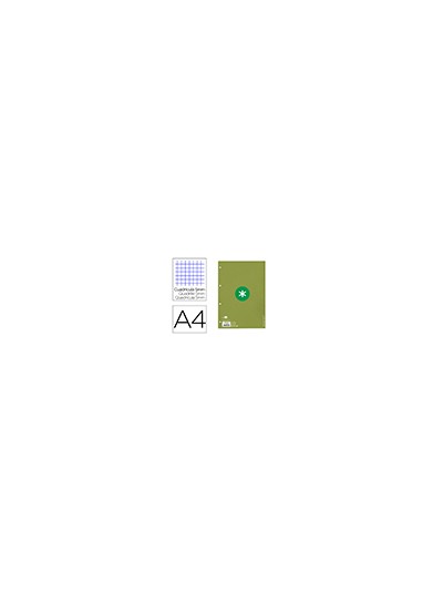 Recambio a4 antartik 80 hojas 90g/m2 cuadro 5mm 4 taladros 1 banda con marco color verde