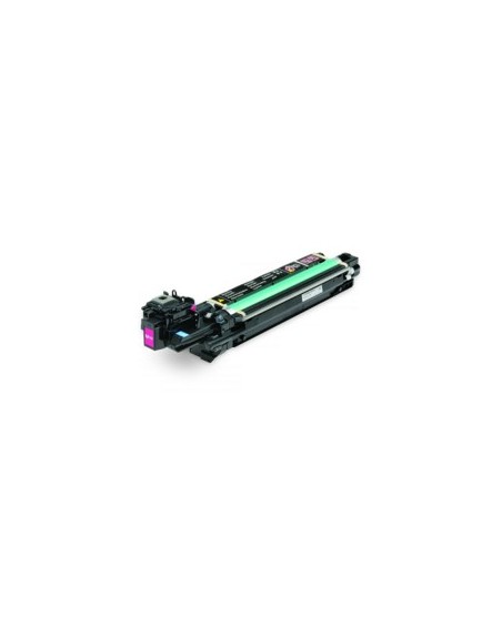 Fotoconductor epson c13s051202 magenta 30k