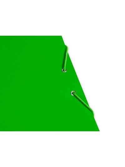 Carpeta liderpapel gomas folio 3 solapas carton plastificado color verde