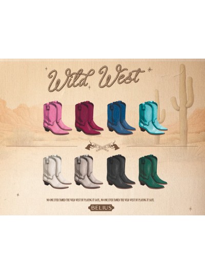 Boligrafo belius wild west aluminio color beige dorado tinta color azul caja de diseño