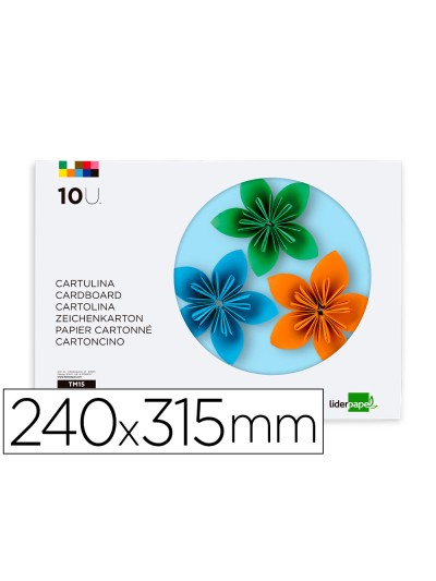 Bloc trabajos manuales liderpapel cartulina 240x315mm 10 hojas 5 colores neon + 5 colores intensos