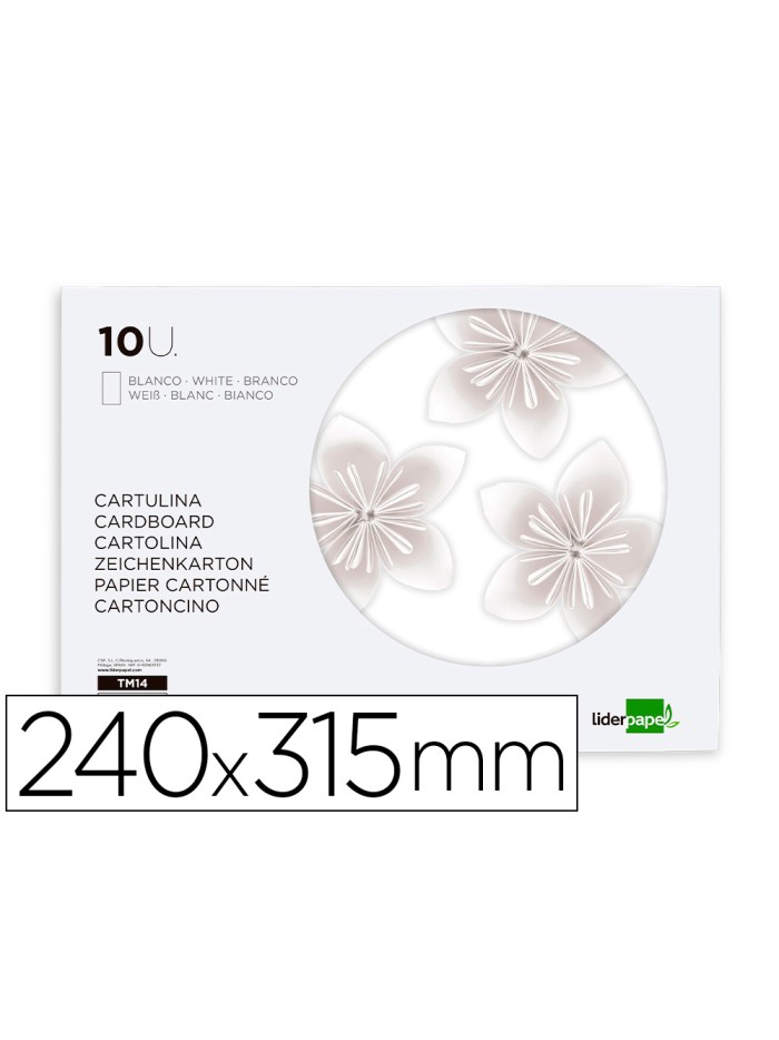 Bloc trabajos manuales liderpapel cartulina 240x315mm 10 hojas color blanco Bloc trabajos manuales liderpapel cartulina 240x315mm 10 hojas color blanco