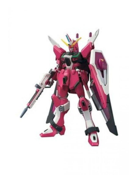 Hg 1 - 144 infinite justice gundam type ii re - run