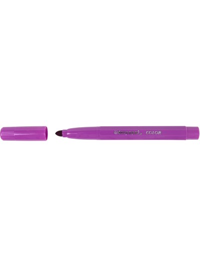 Rotulador liderpapel jumbo caja de 24 unidades colores surtidos