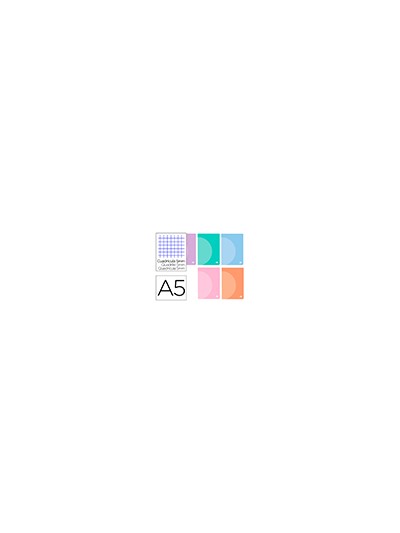 Libreta liderpapel 360 tapa de plastico a5 48 hojas 90g/m2 cuadro 5 mm con doble margen colores pastel
