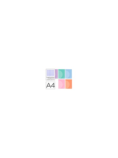 Libreta liderpapel 360 tapa de plastico a4 48 hojas 90g/m2 cuadro 5 mm con doble margen colores pastel