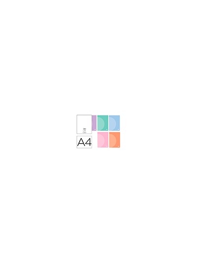 Libreta liderpapel 360 tapa de plastico a4 48 hojas 90g/m2 liso sin margen colores pastel surtidos