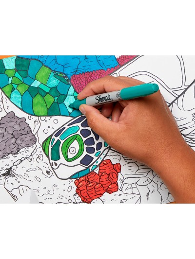 Rotulador sharpie permanente fino blister 12 unidades colores surtidos