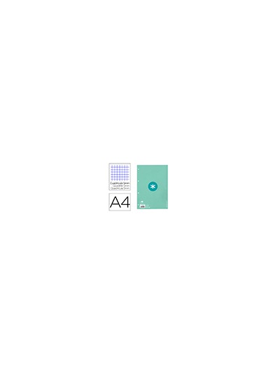 Recambio a4 antartik 80 hojas 90g/m2 cuadro 5 mm 4 taladros 1 banda marco color menta