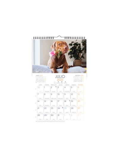 Calendarios liderpapel 2025 pack de 24 unidades diseños surtidos lote