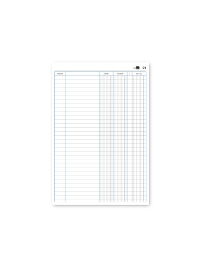 Libro liderpapel folio cartone 100 hojas cuentas corrientes debe haber y saldo