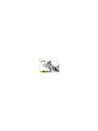 Bloc dibujo liderpapel lineal historico 230x325mm 20 hojas 130g/m2 con recuadro perforado