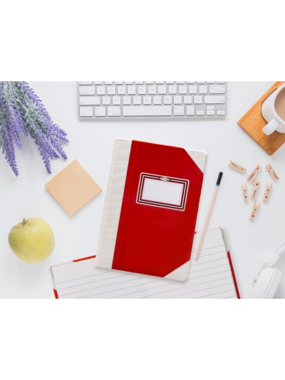 Libro cartone cosido fernandes flecha din a4+ rayado horizontal 50 hojas 100 gr rojo