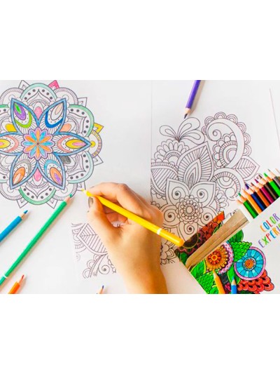 Set de dibujo alpino color experience 24 lapices de colores y libro de 120 mandalas