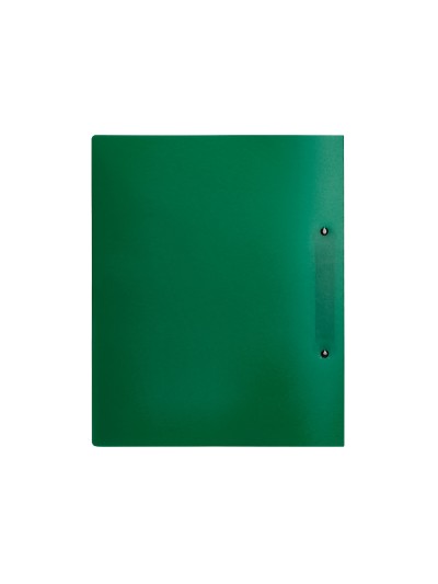 Carpeta liderpapel canguro 2 anillas 40 mm mixtas polipropileno din a4 verde translicudo