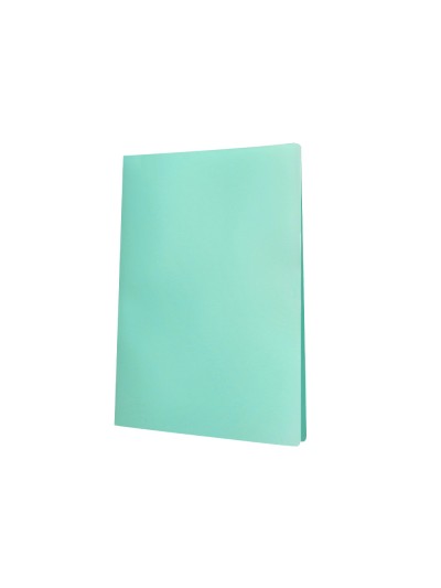 Carpeta liderpapel escaparate 80 fundas polipropileno din a4 verde manzana opaco