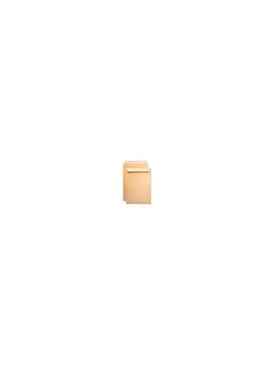 Sobre liderpapel bolsa seguridad kraft marron armado 120 gr 229x324 mm unidad