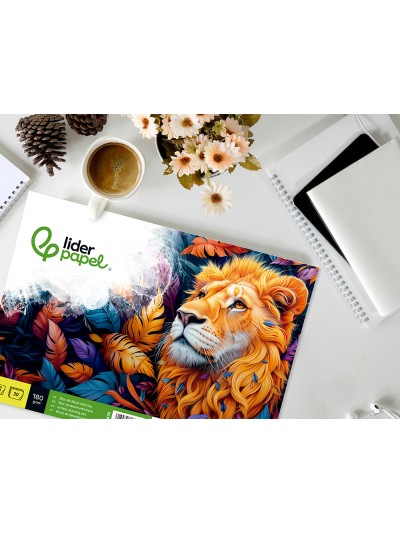 Bloc dibujo liderpapel lineal espiral 460x325 mm 20 hojas 180 gr/m2 con recuadro perforado