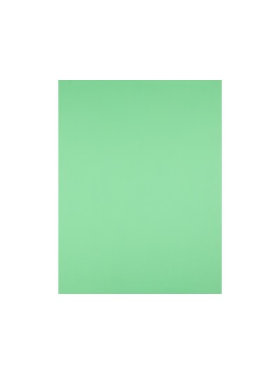 Cartulina liderpapel 50x65 cm 180g/m2 verde hierba paquete de 25 hojas