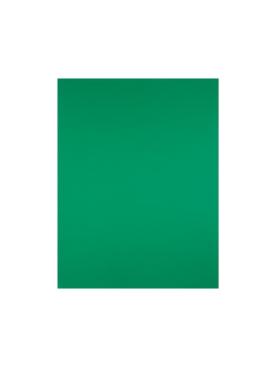 Cartulina liderpapel 50x65 cm 180g/m2 verde navidad paquete de 25 hojas