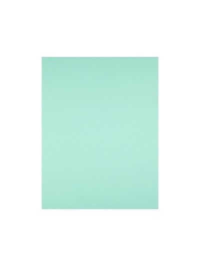 Cartulina liderpapel 50x65 cm 180g/m2 verde paquete de 25 hojas