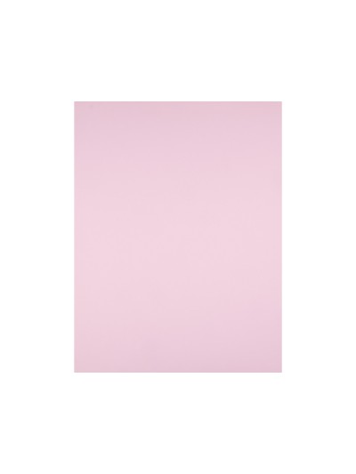 Cartulina liderpapel 50x65 cm 180g/m2 rosa paquete de 25 hojas