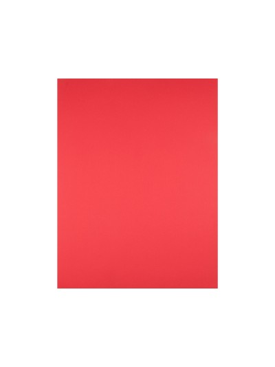 Cartulina liderpapel 50x65 cm 180g/m2 rojo paquete de 25 hojas