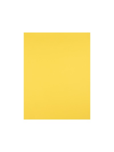 Cartulina liderpapel 50x65 cm 180g/m2 amarillo limon paquete de 25 hojas
