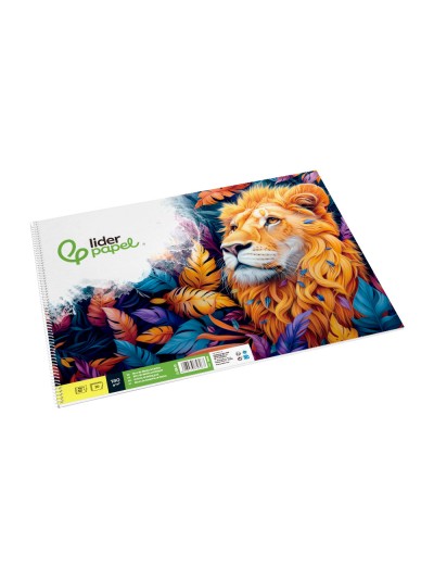 Bloc dibujo liderpapel artistico espiral 460x325mm 20 hojas 180gr/m2 sin recuadro perforado