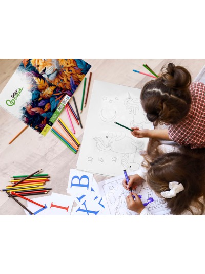 Bloc dibujo liderpapel artistico espiral 460x325mm 20 hojas 180gr/m2 sin recuadro perforado