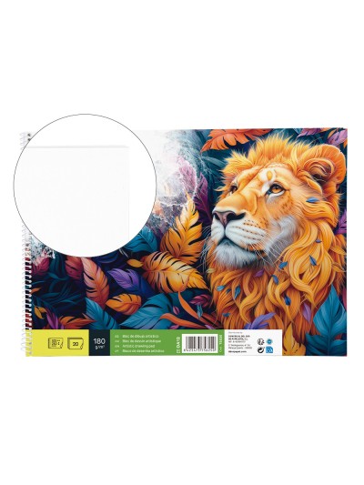 Bloc dibujo liderpapel artistico espiral 230x325mm 20 hojas 180g/m2 sin recuadro perforado